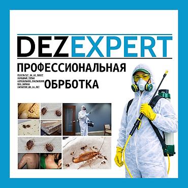 bee: Дезинфекция, дезинсекция, | Клопы, Блохи, Тараканы, | Транспорт, Офисы, Квартиры — 1