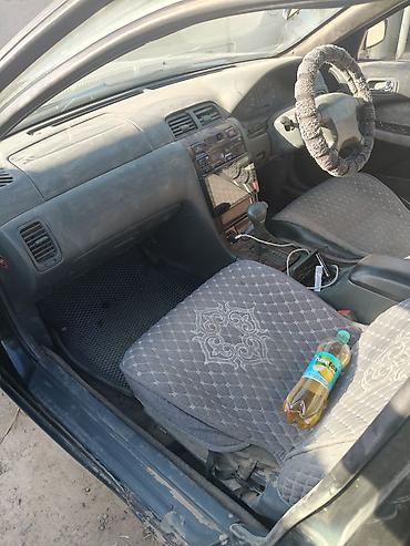 катушка ниссан сефиро: Nissan Cefiro: 1997 г., 2 л, Автомат, Бензин, Седан — 3