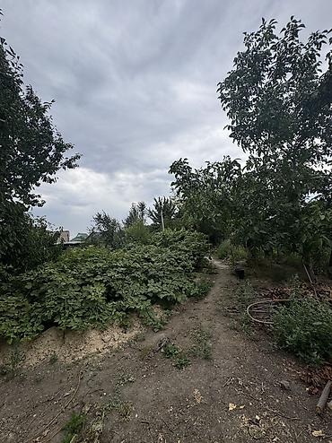 кел кел: 11 соток, Курулуш — 4