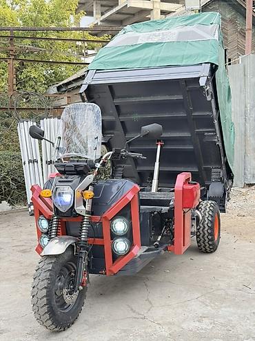 мини моторчик: 2 тонный Тигр муравей Характеристика Оргинальный мотор 2000 W Чугун — 3