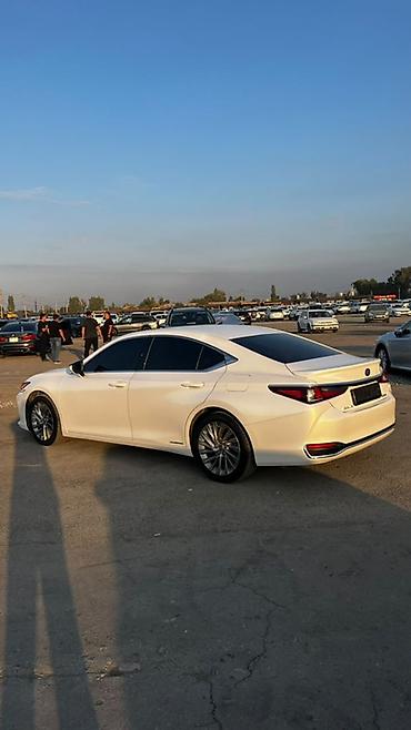 лексус 570 цена: Lexus ES: 2020 г., 2.5 л, Гибрид, Седан — 8