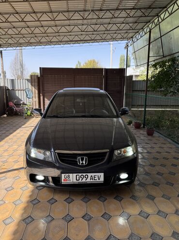 машина тайота: Honda Accord: 2005 г., 2.4 л, Автомат, Бензин, Седан