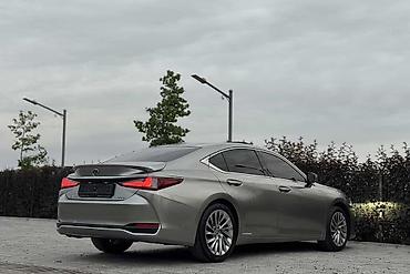 Lexus: Lexus ES: 2019 г., 2.5 л, Гибрид — 3