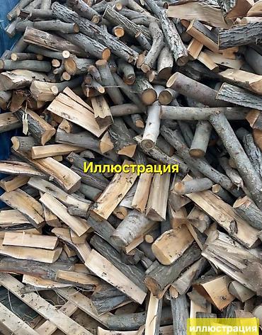 Дрова Тополь, Самовывоз