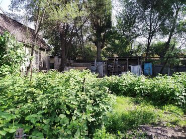 Продажа домов: Дом, 100 м², 5 комнат, Собственник, Старый ремонт — 8