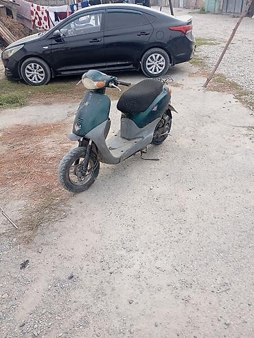 скутер ондоо: Скутер 50 см³ (ориентировочно, класс Honda/Dio) зеленого цвета. ЗАДНЕЕ — 1