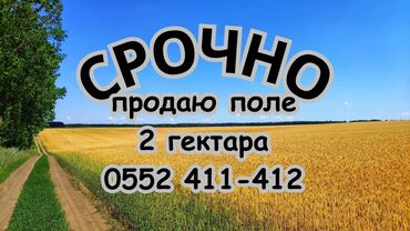 продаю дом село чалдовар: 200 соток, Айыл чарба үчүн, Сатып алуу-сатуу келишими