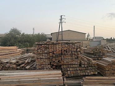 Taxta plitələr: Tikinti üçün taxta və qəlib materialları Məhsullar: - Qəliblik faner — 3
