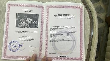 gence torpaq alqi satqi: 11 sot, Mülkiyyətçi, Kupça (Çıxarış) — 2