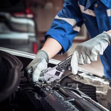 Laqondalar: Yeni Laqonda, Pulsuz çatdırılma — 13