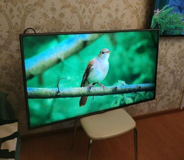 lg tv: Televizor LG