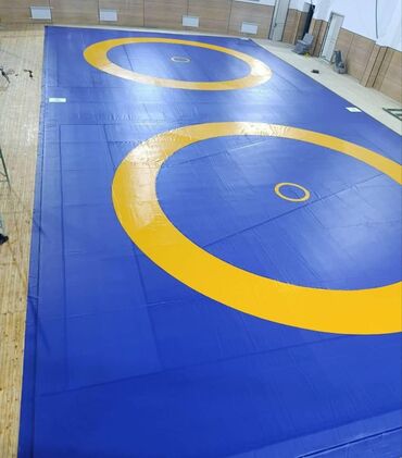 Другие тренажеры: Профессиональные спортивные маты для единоборств Назначение: - борьба — 22