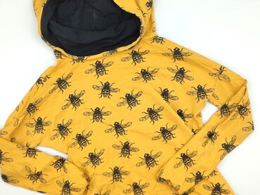 alpha tauri t shirty: Women`s hoodie, size L (EU 40)