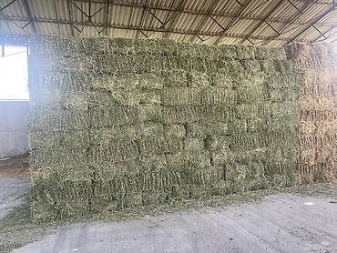 Корма для с/х животных: Люцерновое сено в тюках в Сокулуке. Тюки плотные 2-3-й кос,метровые — 3