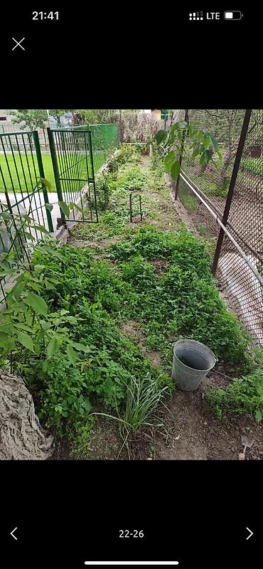 Дворники, садовники: 🌱Я садовник приходящий раз в неделю уборку сада генеральный уборка at lalafo.kg — 19 Дворники, садовники: 🌱Я садовник приходящий раз в неделю уборку сада генеральный уборка — 19