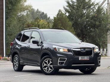 фары на субару форестер sf5: Subaru Forester: 2019 г., 2.5 л, Вариатор, Бензин, Кроссовер