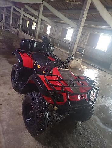 кводроцикл мото: Квадроцикл утилитарный, 4x4, красный/чёрный - Полноразмерная рама с — 3