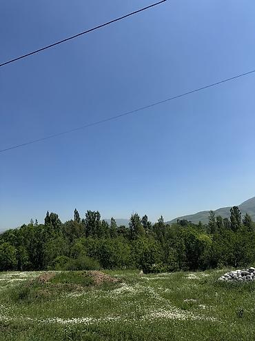 бир: 5 соток, Курулуш, Кызыл китеп — 2