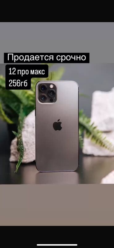 Apple iPhone: IPhone 12, Новый, 256 ГБ