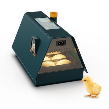 Товары и оборудование для с/х животных: Мини инкубатор на 10 яиц