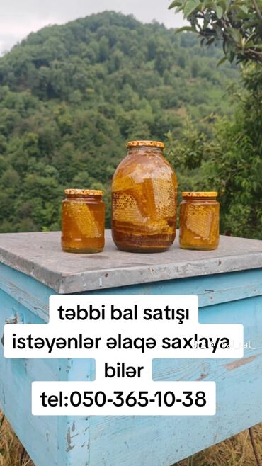 Bal: Kimə təbii bal 🍯 lazım olsa nömrəsi ilə əlaqə saxlaya bilərlər