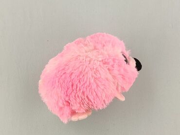 Mascot condition - Very good