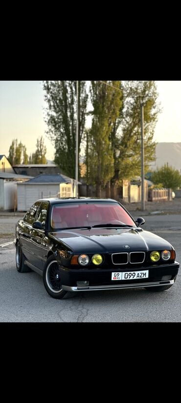 BMW: BMW 520: 1995 г., 2.5 л, Механика, Газ, Седан