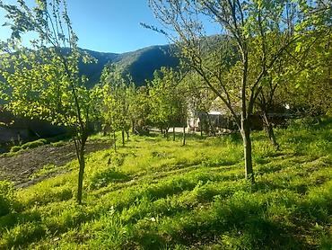 Həyət evləri və villaların satışı: Iki mərtəbəli ev satılır. ətraflı məlumat üçün əlaqə telefonuna zəng — 8