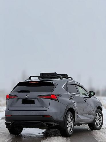 Lexus: Lexus NX: 2019 г., 2 л, Автомат, Бензин, Кроссовер — 6