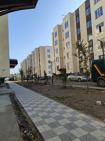Продажа квартир: 1 комната, 44 м², Индивидуалка, 5 этаж — 6