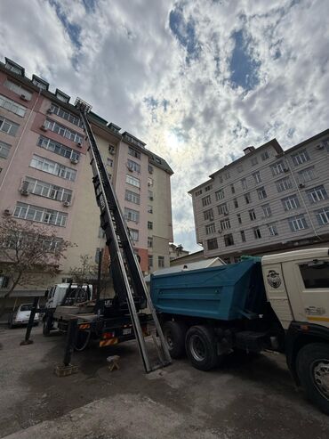 Другие животные: Автолифт, мы поднимем и спустим ваш груз. высота до 20этажей