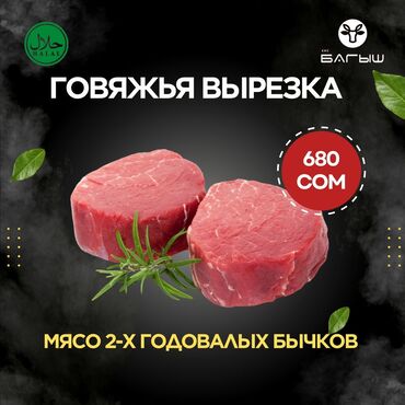 мясо говядина цена в бишкеке: КФХ «БАГЫШ» Реализует мясо оптом и в розницу! Говядина собственного