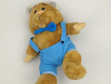 Mascot Teddy bear, condition - Perfect