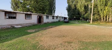 продаётся дом рабочий городок: Продается Кашара Фермерское- хозяйство с действующим бизнесом с полем