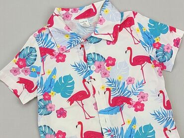 T-shirts and Blouses: Blouse, 9-12 months, condition - Perfect