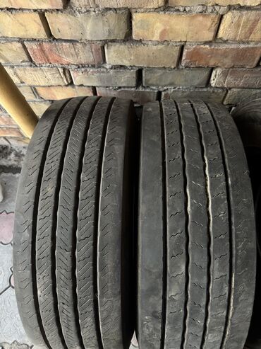 r19 шины: Шины 285 / 70 / R 19.5, Всесезонная, Новый, Грузовики/Автобусы, Continental
