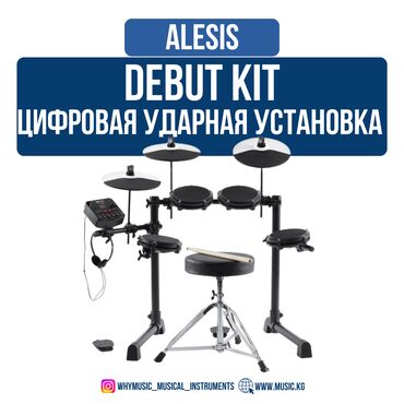 ударный: Цифровая ударная установка Alesis Debut Kit Ищете универсальный