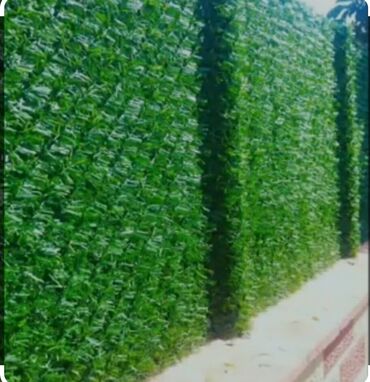 Süni qazon: Süni̇ qazon si̇fari̇şi̇ hər növ süni qazon örtüklərini bizdən əldə — 7