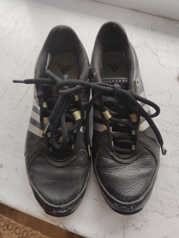 Кроссовки и спортивная обувь: Кроссовки, размер 37, Адидас, находимся в районе Политеха