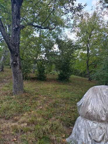 Torpaq sahələrinin satışı: 15 sot, Mülkiyyətçi, Kupça (Çıxarış), Texniki pasport — 4