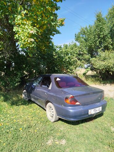 1 jz: Kia Spectra: 2001 г., 1.6 л, Автомат, Бензин, Седан