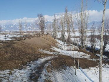 Продажа домов: Дом, 1111111 м², 5 комнат, Собственник — 11