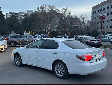 lexus altezza: Lexus ES: 2003 г., Автомат, Бензин, Седан — 6