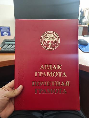 садовые ножницы бишкек: Папки, Другой формат, Новый, Оптом — 1