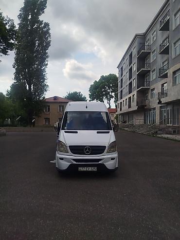 maşın sukanları: Mercedes-Benz Sprinter: 2.2 l | 2007 il Mikroavtobus — 1