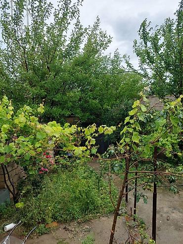 Həyət evləri və villaların satışı: Binəqədi qəs. 3 otaqlı, 80 kv. m, Kredit var, Yeni təmirli — 2