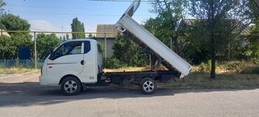 жук ташуучу унаа: Жеңил жүк ташуучу унаа, Hyundai, Дубль