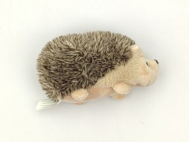 Mascot condition - Perfect