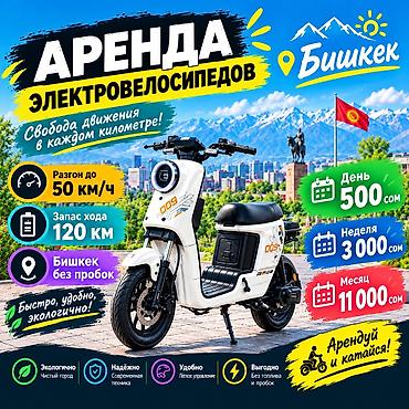 stage 3: «НЕТ РАБОТЫ? ЕСТЬ ВЕЛОСИПЕД — ЕСТЬ ВОЗМОЖНОСТЬ ЗАРАБОТАТЬ!» Аренда — 1