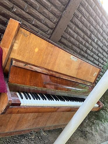новые гитары: Продается пианино в идеальном состоянии 10 тысяч — 1